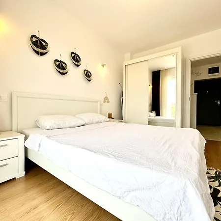 Vista 蒂米什瓦拉