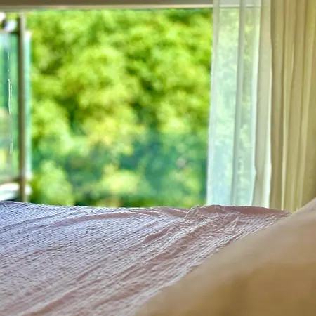 Apartment Vista Timişoara