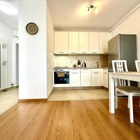 Vista * 蒂米什瓦拉