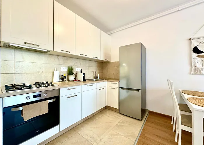 Vista 티미쇼아라