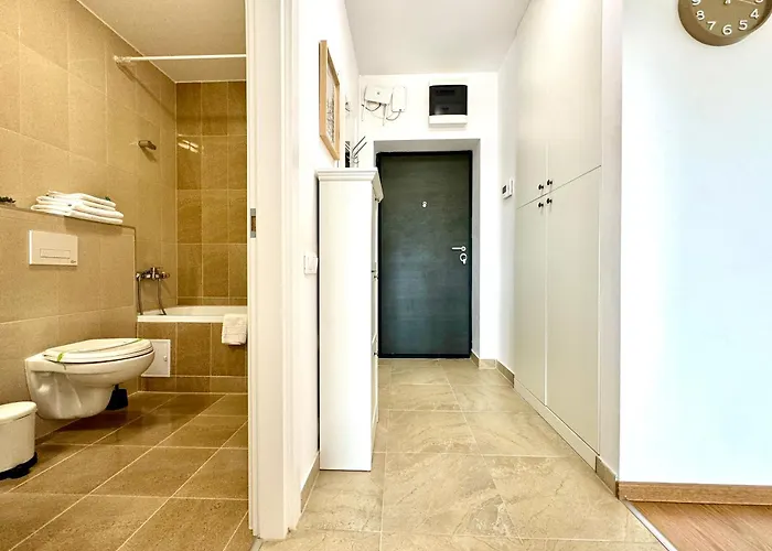 Vista 티미쇼아라