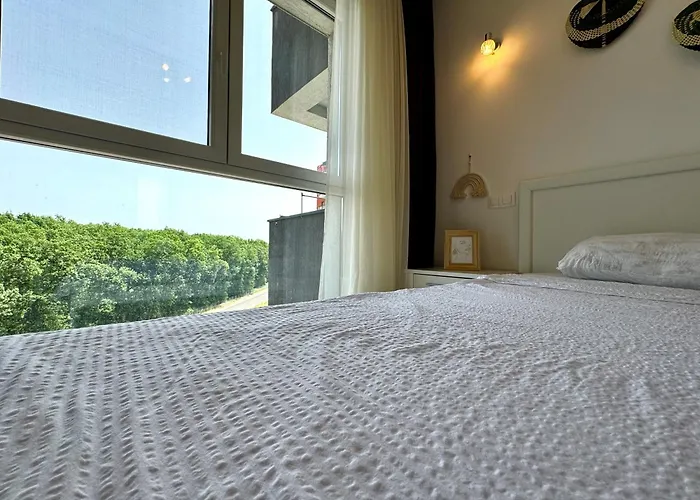 Vista アパート ティミショアラ