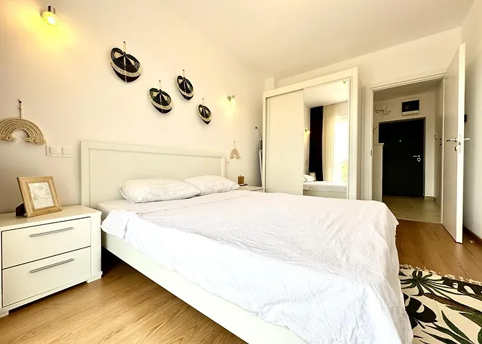 Vista 티미쇼아라