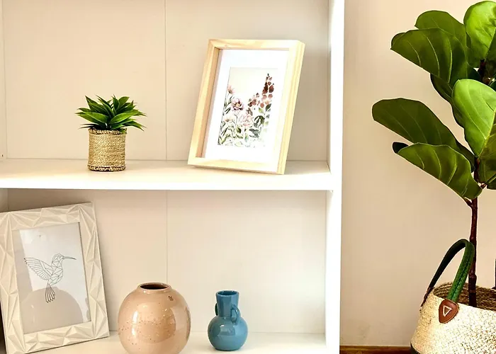 아파트 Vista 티미쇼아라