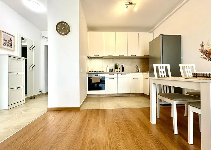 Vista * 티미쇼아라