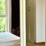 Vista Lägenhet Timişoara