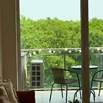 Vista Timişoara